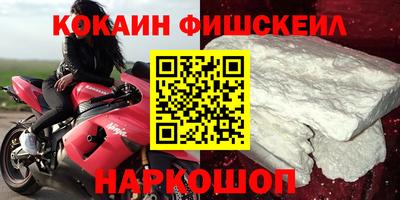 дмт Кингисепп