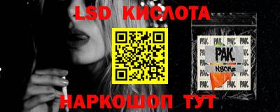 дмт Кингисепп