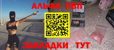 дмт Кингисепп