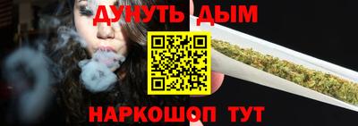 дмт Кингисепп
