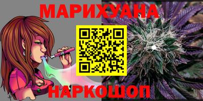 дмт Кингисепп