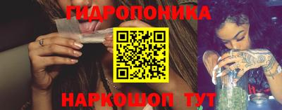 дмт Кингисепп