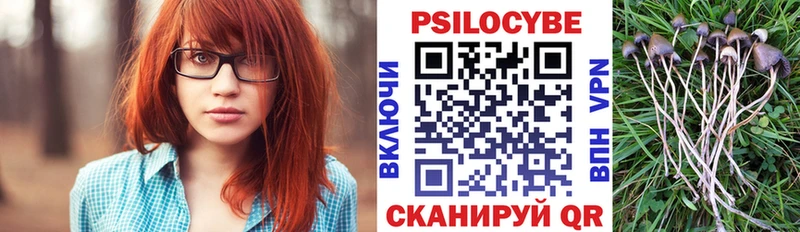 Галлюциногенные грибы Psilocybine cubensis  Рубцовск 