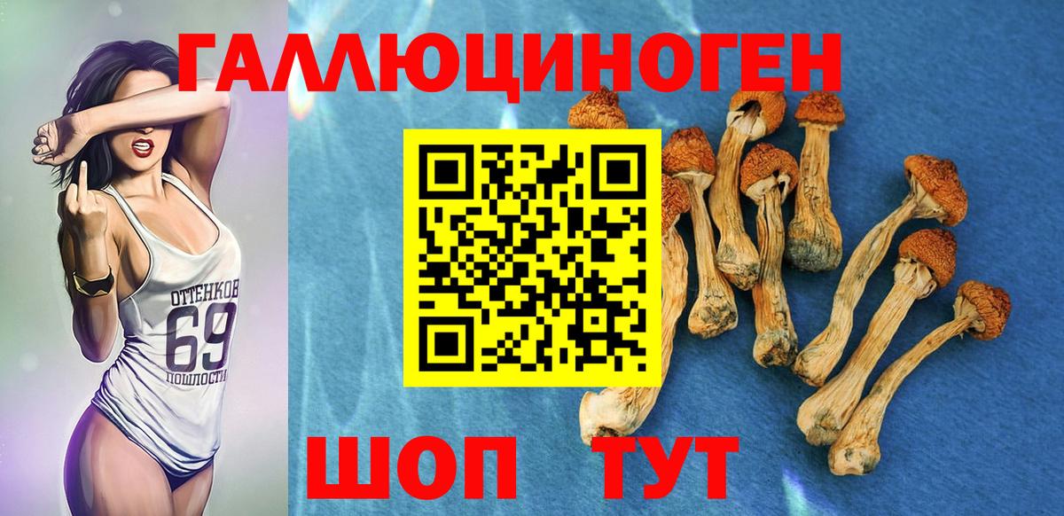 Рубцовск  Псилоцибиновые грибы GOLDEN TEACHER  Вход с VPN 